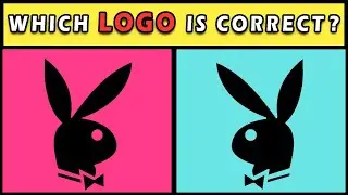 Guess The Logo correct Challenge