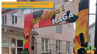 Viel Charme + Besonderheit: Göteborgs Viertel Haga