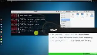012 Kali Linux для начинающих. Перемещаем файлы и папки