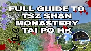 Full guide to TSZ SHAN MONASTERY,TAI PO DISTRICT HONGKONG 