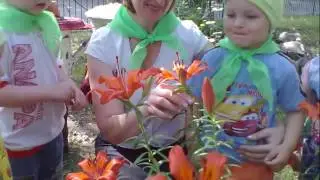 Лето на островке детства 2016 г. Детский сад №132 ОАО 