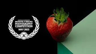 Macro Photography Competition [May 2023]