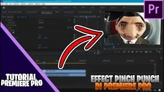 CARA MEMBUAT EFFECT PINCH PUNCH DI PREMIERE PRO