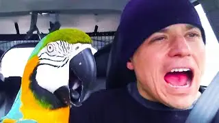 Top 47 Viral Videos Of The Week | June 2021