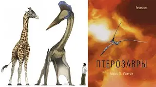 Обзор книги 