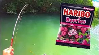 Poisson surprise au BONBON HARIBO !