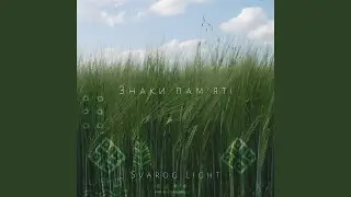 Засіяне поле