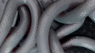 BLENDER 2.8 - SNAKE SCALE ANIMATION TEST.