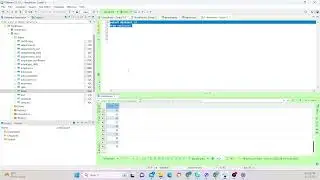 DISTINCT in basic SQL query (English audio)
