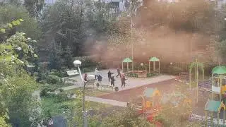 Кунг-фу бабушки #кунгфу