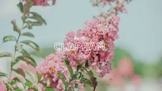 My Head Is A Jungle (Ben Meredith) MËRO EDIT