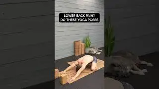 You Will Experience Back Pain At Some Point! | #shorts