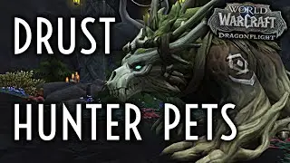 WoW Guide - How to tame Thorntouched Pets - Patch 10.2