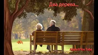 Два дерева...