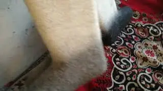 Валенки комбинированные длинные