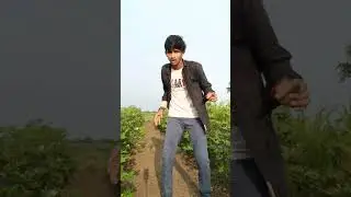 Jindagi Me Kisi Se Nahi Dariye Comedy 🤣 Dog Funny Shorts 