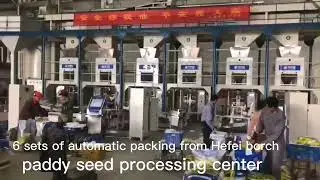 Paddy seed processing center/packaging machine suppler/manufacturer