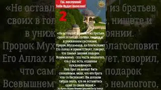 ТЫ, послушай! Тебе будет полезно! 2