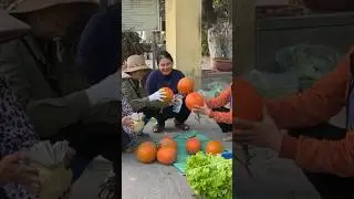 I’m new YouTuber! Support me please! #harvest #harvesting #thanh #freebushcraft