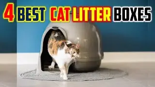 ✅ Best Automatic Litter Boxes Review in 2023 - Top 4 Best Cat Litter Boxes in 2023