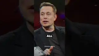 The Wealth of Elon Musk