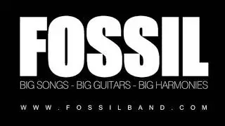 'Good Love Is On The Way' cover performed by Fossil
