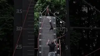 Питбуль шоу 2023. Jump N Gym