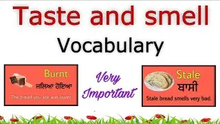 Taste and smell | Taste and smell vocabulary | Daily use Words | Daily use sentences #smellandtaste