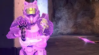 Halo Infinite Mostly Ranked Needler Montage: Fear the Pink Memes