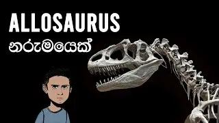 Allosaurus ගැන #anarchysaurus