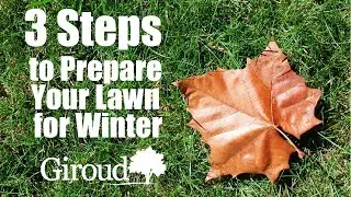 Prepare your lawn for winter