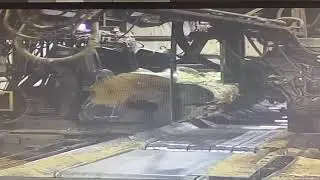 Rocks bad.... m’kayy