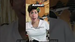 POV: Your assigned animal is… ✨ (part 2)