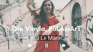 Gin Vinyla & PoLAwArT - Su Le Mani (Original Mix) / Progressive House/Melodic Techno.