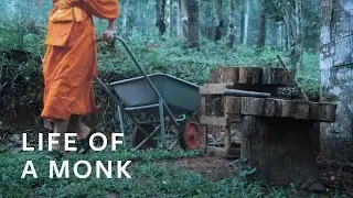 A Monk's Daily Chores | Life of a Monk