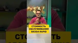 СЕКРЕТЫ ОБСЛУЖИВАНИЯ SKODA RAPID 