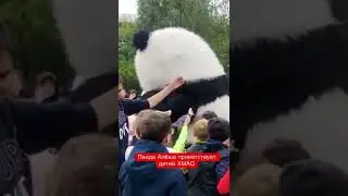Панда Алёша приветствует детей ХМАО. Июль 2022.