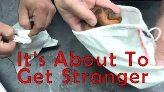 It Gets Even Stranger With These Ball Python & Boa Unboxings! Also: Leopard Overload!