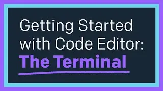 Getting Started with Code Editor: The Terminal