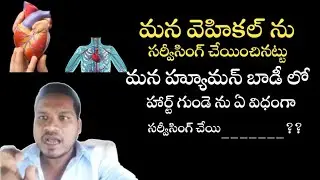 how to servicing Heart ll #HEART ll   మన హ్యూమన్ బాడీ లో హార్ట్ గుండె  ఏ విధంగా సర్వీసింగ్ చేయిం-?