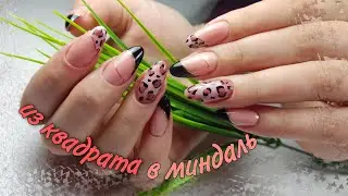 ИЗ КВАДРАТА В МИНДАЛЬ/коррекция