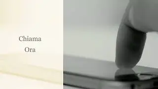 VSL Video 4