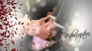Wedding Album - After Effects template videohive