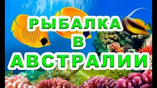 Рыбалка в Австралии на спиннинг! (Часть 1)