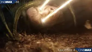 Cinemax - Вечные