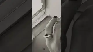 #украшения