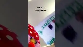 утка в магазине с картой😂