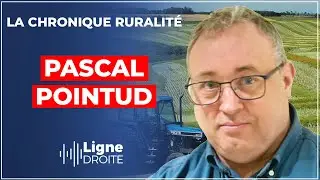5€ pour Notre-Dame : 