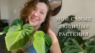 Растения, с которыми я не хочу расставаться!