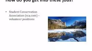 Travel Jobs You Can Have Today
